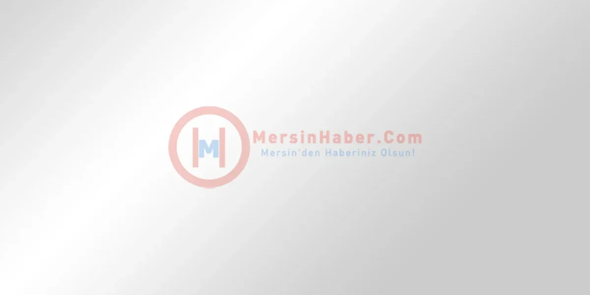 537532.webp.webp - StiriAlese