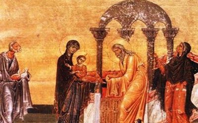 61769486.jpg - StiriAlese