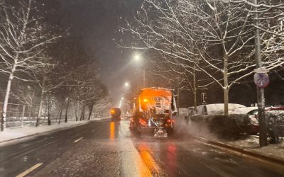 626834379_1238452441795791_1191338609463547885_n.jpg - StiriAlese