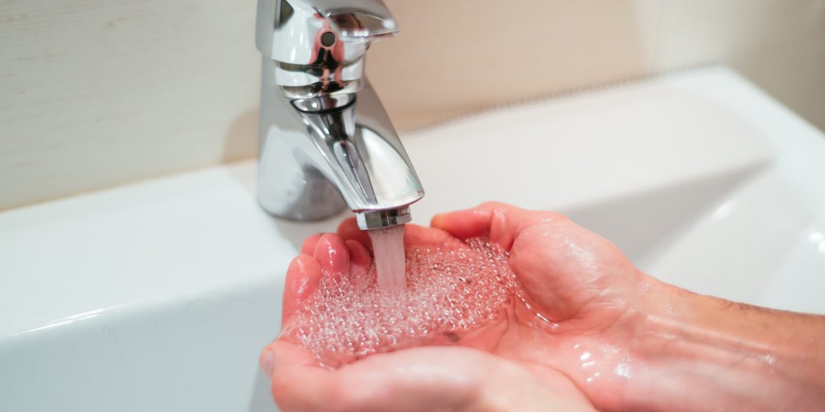 627405238_1240448354929533_6123919370043139567_n.jpg - StiriAlese