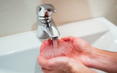 627405238_1240448354929533_6123919370043139567_n.jpg - StiriAlese