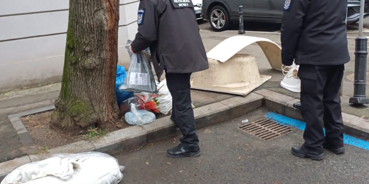 632577843_1402096385295605_8705704417872996948_n.jpg - StiriAlese