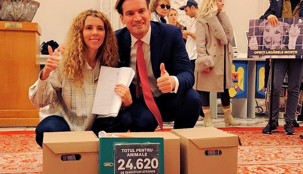 Deputatul Andrei Baciu introduce Ora cu și pentru Animale în școli