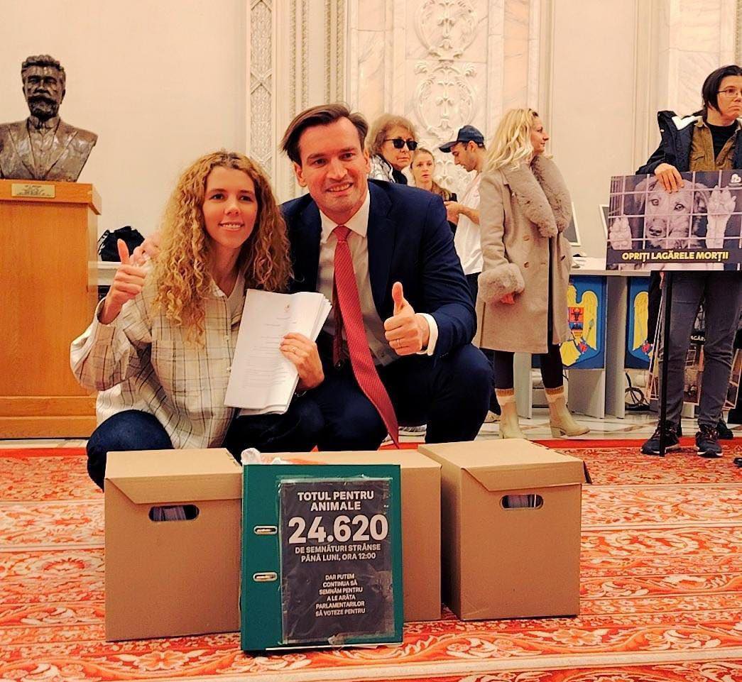 Deputatul Andrei Baciu a anunțat recent că „Ora cu și pentru Animale” va deveni materie opțională în școlile din toată țara