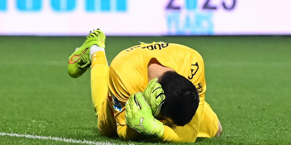 6981982826cbb.jpeg - StiriAlese