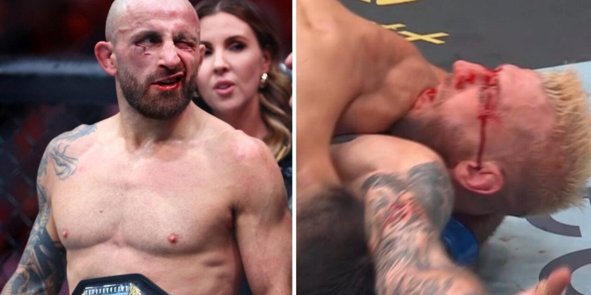 958125e63d861c7843d4aa33436f58ab.jpeg - StiriAlese