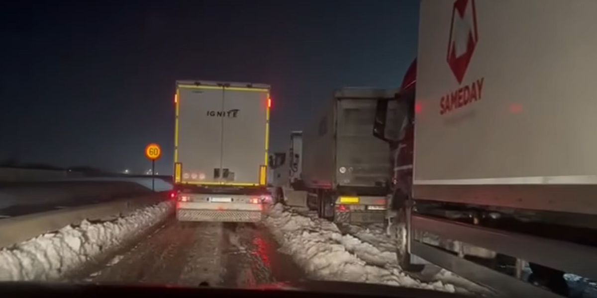 Captura-de-ecran-2026-02-18-225736.png - StiriAlese