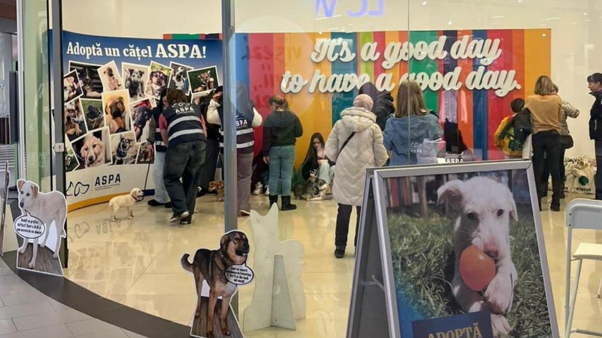 ASPA: 10 căței adoptați la primul târg din 2026