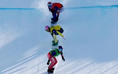 Day8.webp.webp - StiriAlese