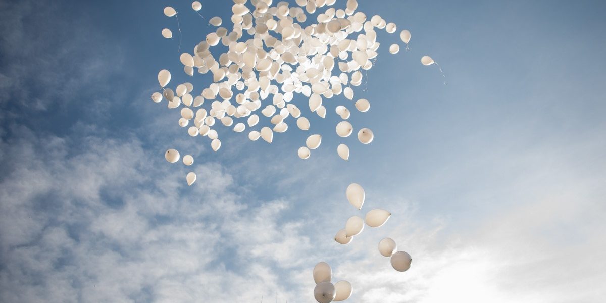 FB1A1660.jpg - StiriAlese