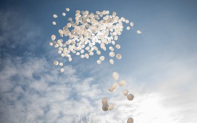 FB1A1660.jpg - StiriAlese