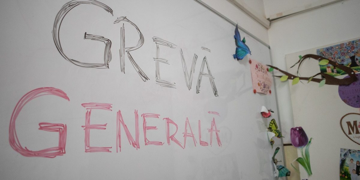 FB1A2402.jpg - StiriAlese