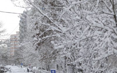 Gerul se întoarce: ANM anunță două zile cu ninsori, polei și vânt. Când revenim la temperaturile de primăvară