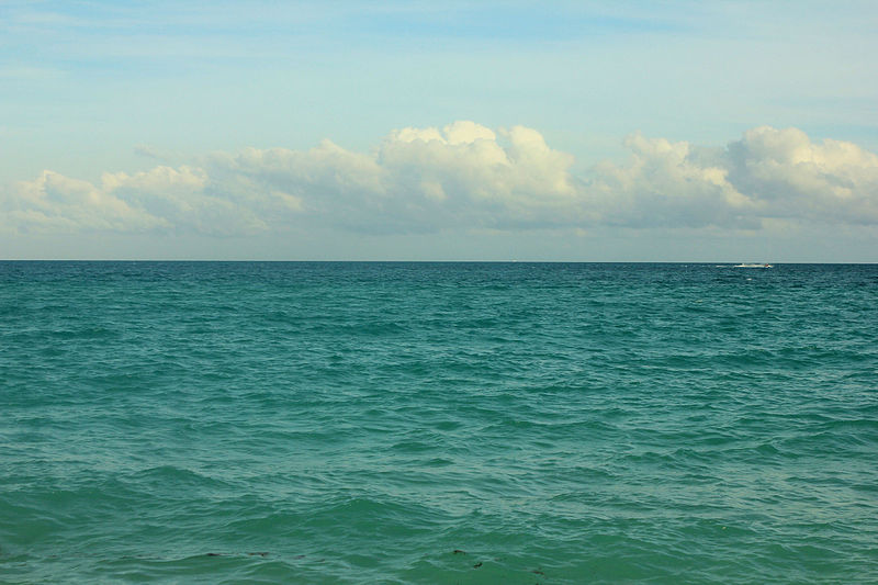 Gfp-florida-miami-ocean-and-horizon.jpg - StiriAlese