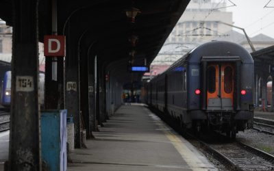 ID186355_INQUAM_Photos_George_Calin-1600x1067-1-e1770458751729.jpg - StiriAlese