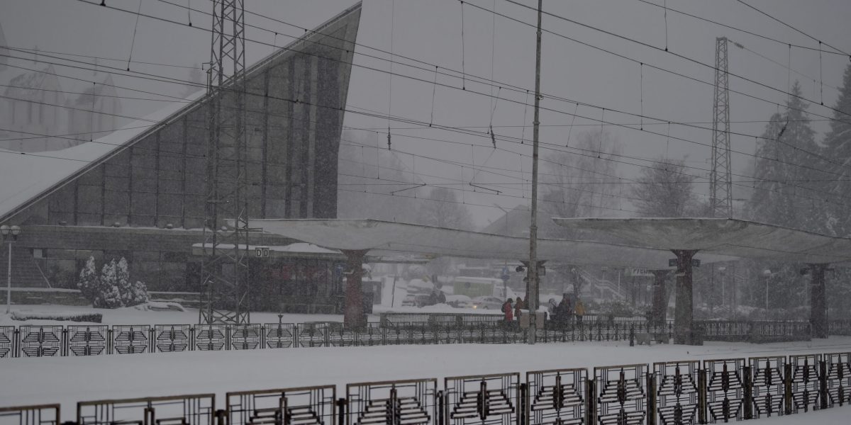 ID239030_INQUAM_Photos_Alex-Nicodim_-scaled.jpg - StiriAlese