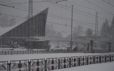 ID239030_INQUAM_Photos_Alex-Nicodim_-scaled.jpg - StiriAlese