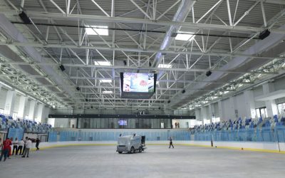 ID264238_INQUAM_Photos_George_Calin-1000x667.jpg - StiriAlese