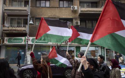 ID297814_INQUAM_Photos_Codrin_Unici-1600x1067-1.jpg - StiriAlese