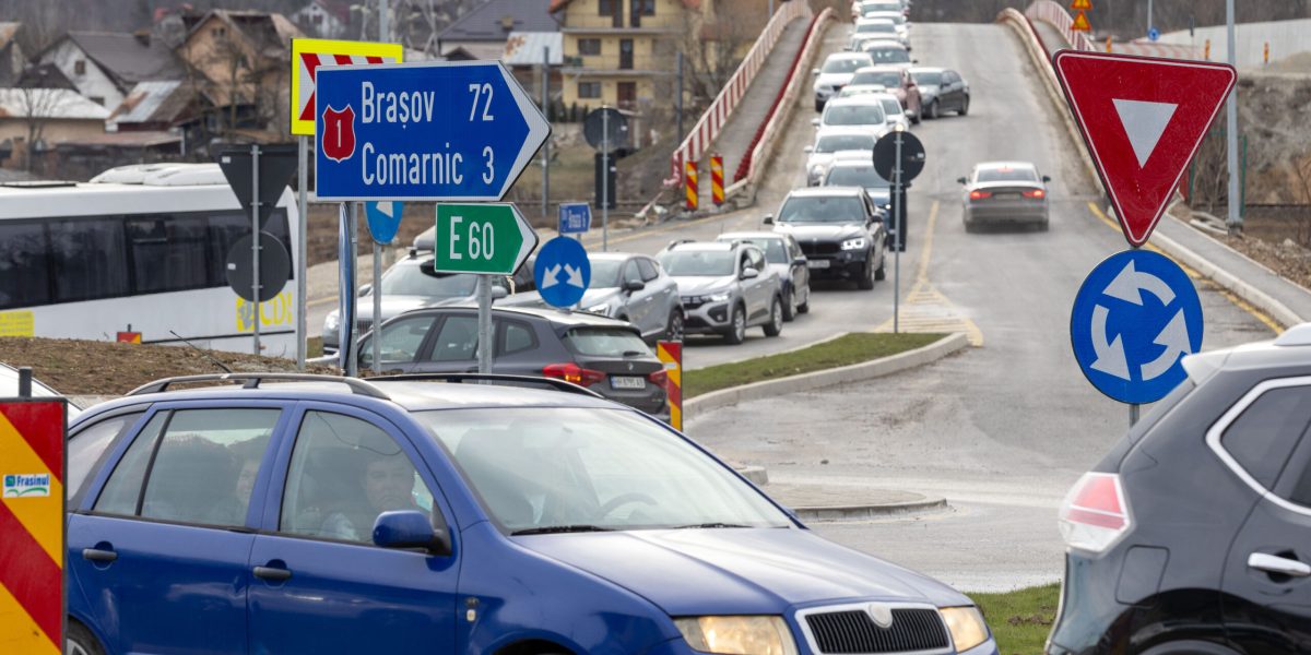 ID330253_INQUAM_Photos_Gyozo_Baghiu-scaled.jpg - StiriAlese