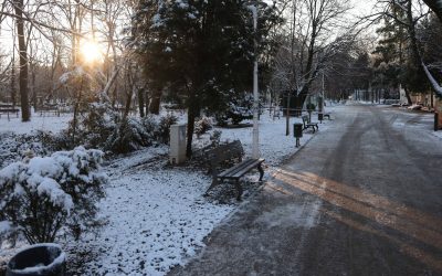 ID330501_INQUAM_Photos_George_Calin-1-e1770545727817.jpg - StiriAlese