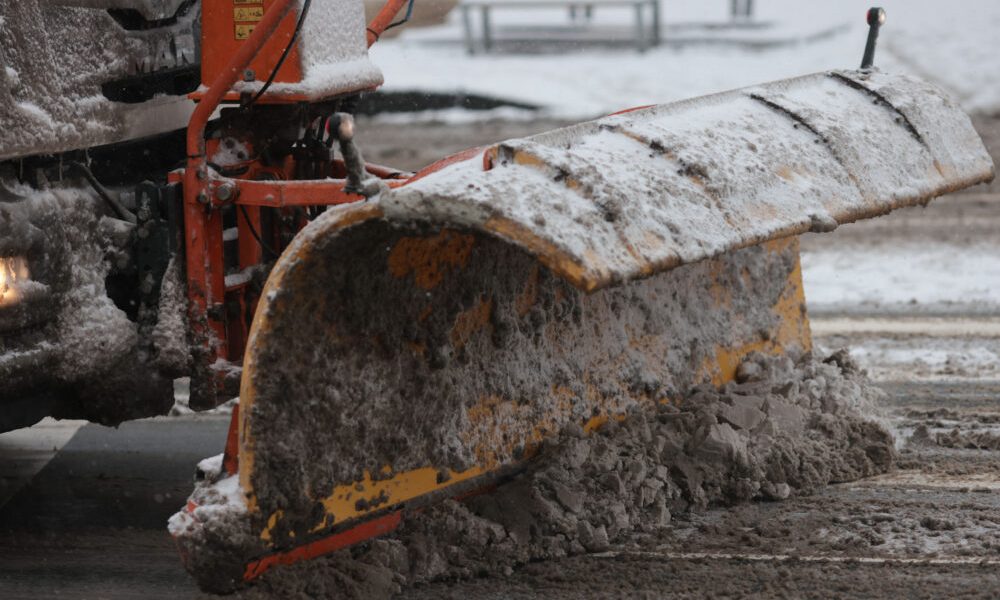 ID330600_INQUAM_Photos_George_Calin-1000x667.jpg - StiriAlese