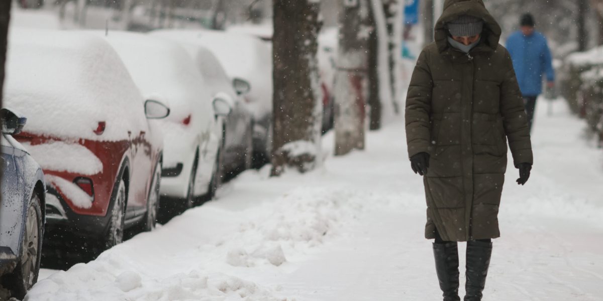 ID330608_INQUAM_Photos_George_Calin-scaled-e1771233493829.jpg - StiriAlese