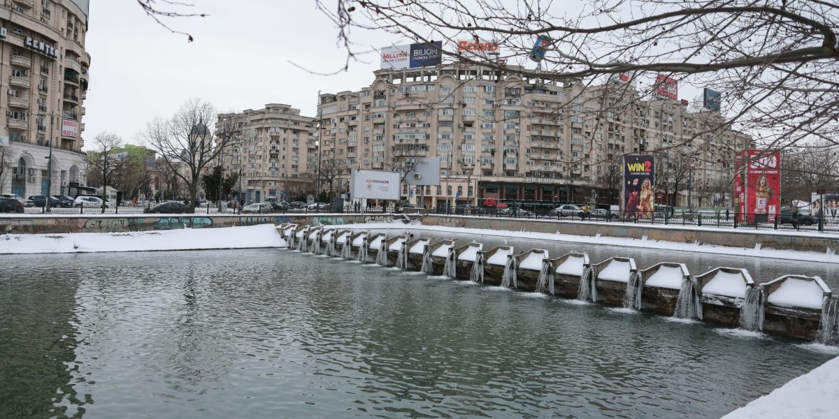 ID332283_INQUAM_Photos_George_Calin-1-e1770468225307.jpg - StiriAlese