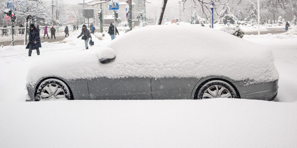 ID333940_INQUAM_Photos_Alexandru_Nechez-2.jpg - StiriAlese