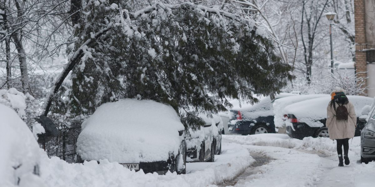 ID333964_INQUAM_Photos_George_Calin-scaled.jpg - StiriAlese