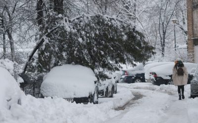 ID333964_INQUAM_Photos_George_Calin-scaled.jpg - StiriAlese