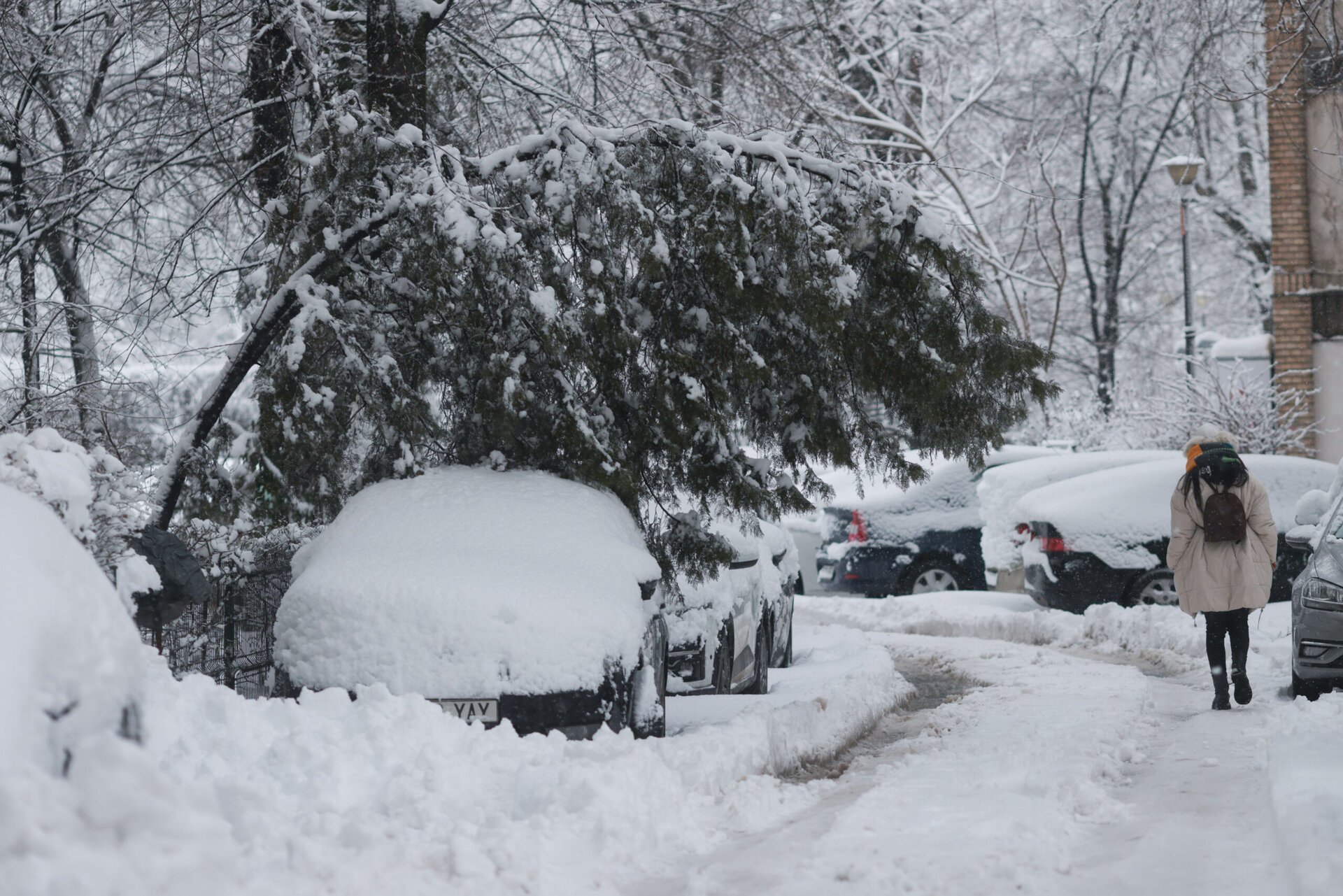 Revenirea bruscă a iernii a adus probleme majore în capitala României și în județul Ilfov, lăsând în urmă pagube semnificative