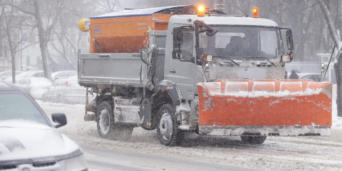 ID86171_INQUAM_Photos_George_Calin-scaled-e1610309816190.jpg - StiriAlese