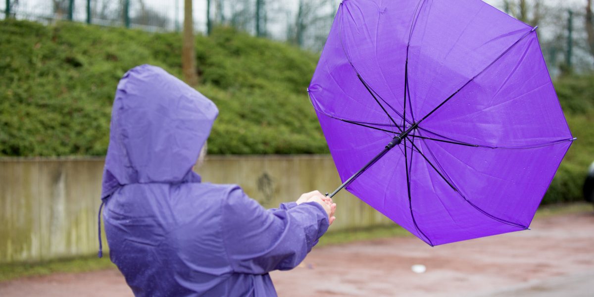 Jmhhc2g9OWZjNzdiMzExNWJhMjcyMzNhZGNmYmFmMWZkOWJhZDk.thumb_.jpg - StiriAlese