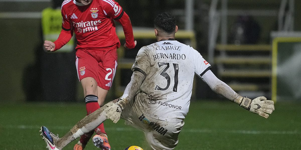 LOU8941.jpg - StiriAlese