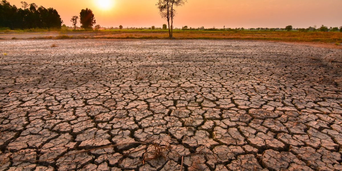 MSZoYXNoPTkwNTY4MWMxZDAyYjQyYTRhNzQ0NmIyMjdhMWNiNTNi.thumb_.jpg - StiriAlese