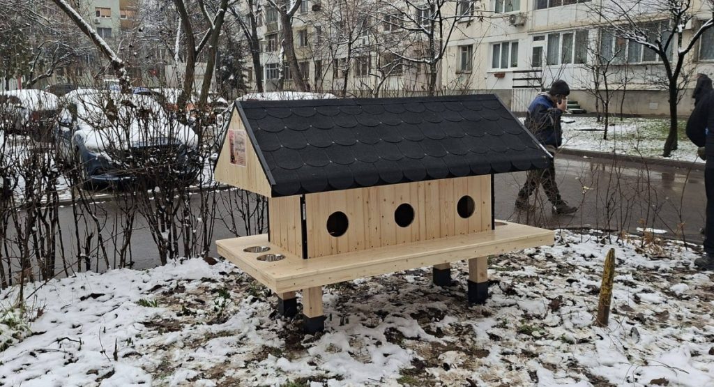 Sectorul 6 din București face pași concreți pentru îmbunătățirea condițiilor animalelor comunitare, în special a pisicilor fără stăpân