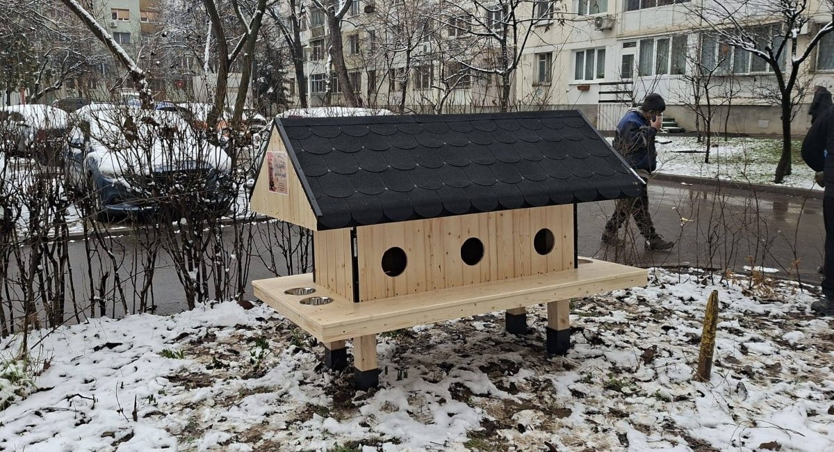 Sectorul 6 din București face pași concreți pentru îmbunătățirea condițiilor animalelor comunitare, în special a pisicilor fără stăpân