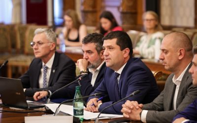 Radu-Miruta.jpeg - StiriAlese