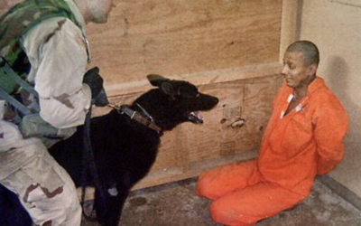 Screenshot-2024-11-12-at-22.31.31.png - StiriAlese