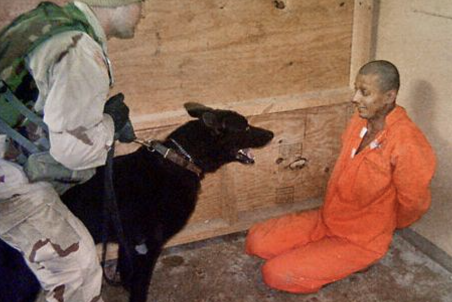 Screenshot-2024-11-12-at-22.31.31.png - StiriAlese