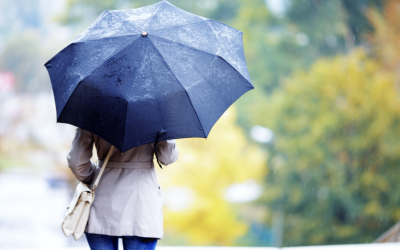 Screenshot-2025-05-19-at-14.43.45-1024x560.png - StiriAlese