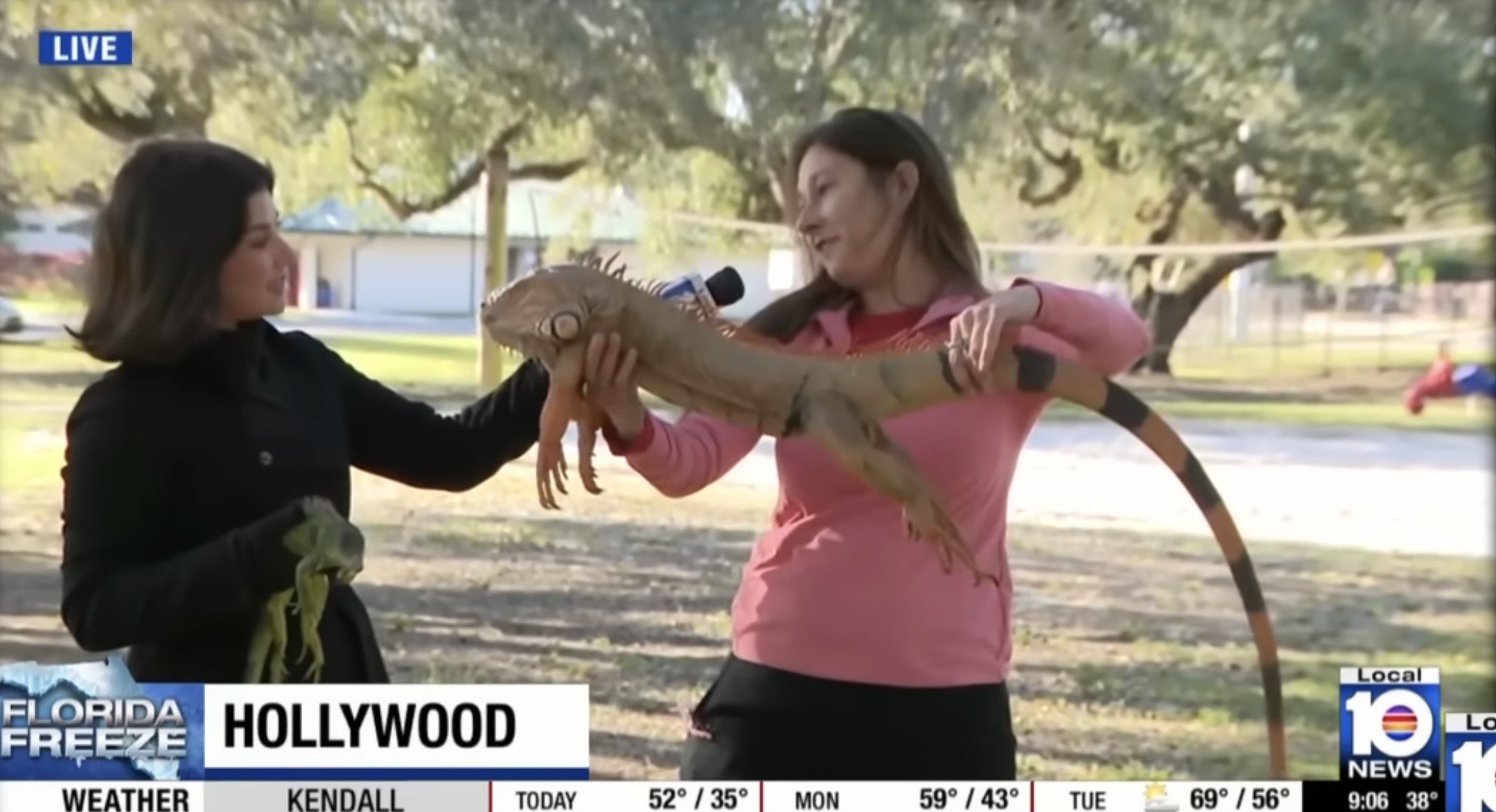 Furtuna de iarnă care a lovit sud-estul Statelor Unite a paralizat regiunea, provocând pagube semnificative în transport și perturbări majore în viața de zi cu zi