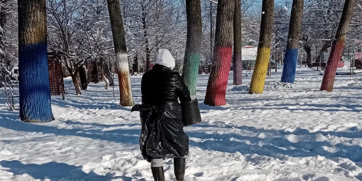 Screenshot-2026-02-18-at-20.27.44.jpg - StiriAlese