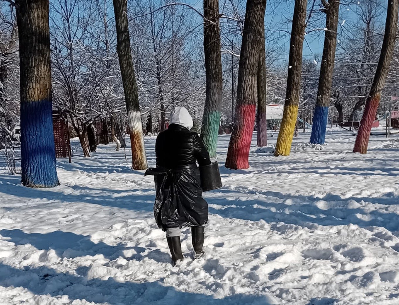 Fertilizarea zonelor verzi din Alexandria începe prematur, în contextul în care specialiștii recomandă alte perioade pentru aplicarea produsului Florovit La începutul acestei săptămâni, administrația locală din Alexandria a demarat procesul de fertilizare a spațiilor verzi din municipiu, anunțând utilizarea unui produs de tip îngrășământ, Florovit