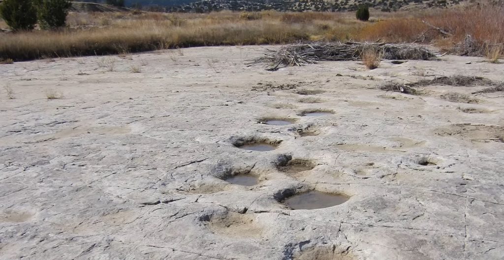 Urmele de pași ale dinozaurilor, cele mai frecvent întâlnite fosile de acest gen, continuă să furnizeze surprize și să deschidă noi perspective asupra existenței acestor creaturi preistorice