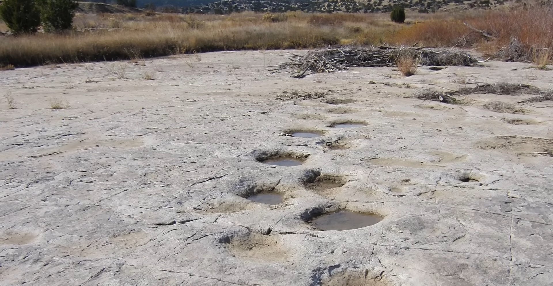 Urmele de pași ale dinozaurilor, cele mai frecvent întâlnite fosile de acest gen, continuă să furnizeze surprize și să deschidă noi perspective asupra existenței acestor creaturi preistorice