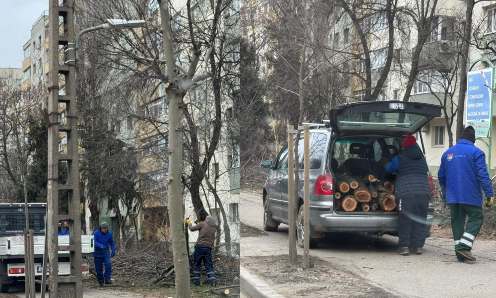 Untitled-design-38-1000x666.png - StiriAlese