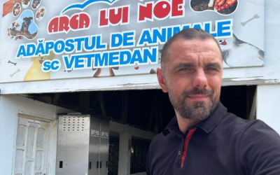 Untitled-design-40-1000x667.png - StiriAlese