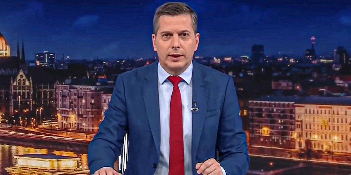 VP0ktkpTURBXy83NjAzMWM0OGYwM2RmYzQ4Mjg5NTU4NjdiMTExZTE5MC5qcGeSlQMAAM0Fkc0DIpMFzQSwzQJ2.jpeg - StiriAlese